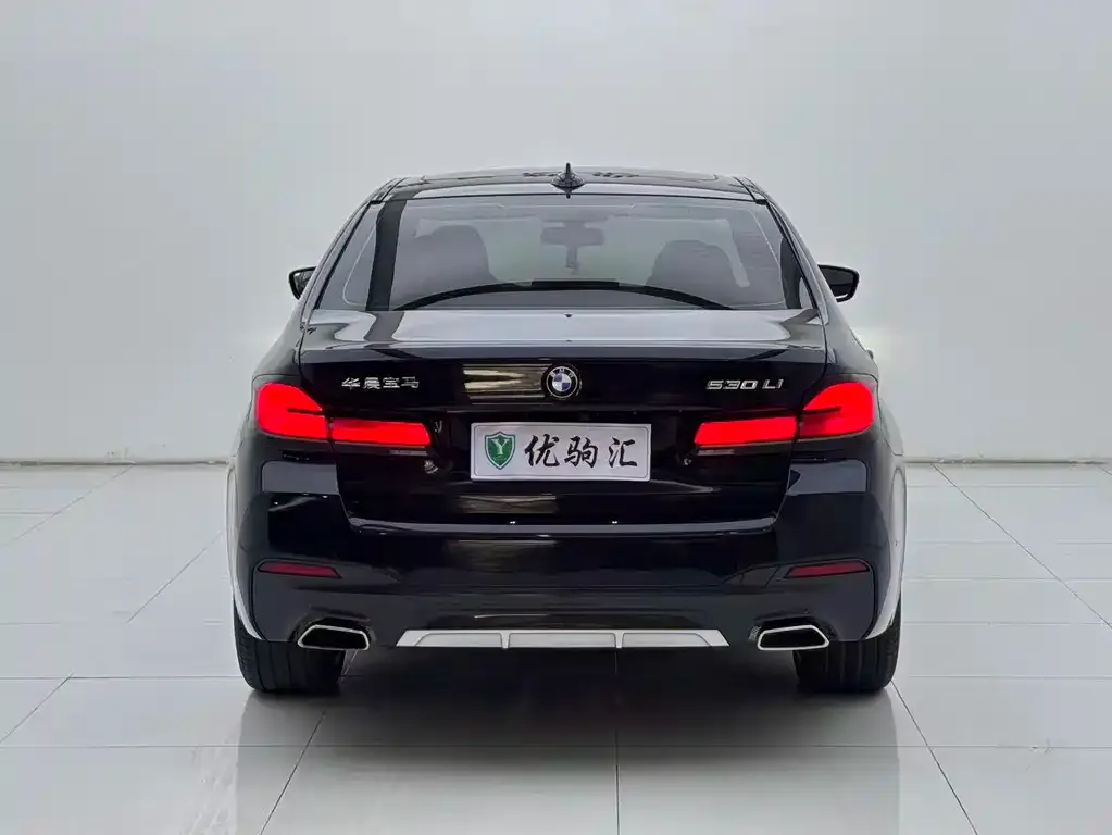 BMW 5 Series 2022 из CN, фото 2