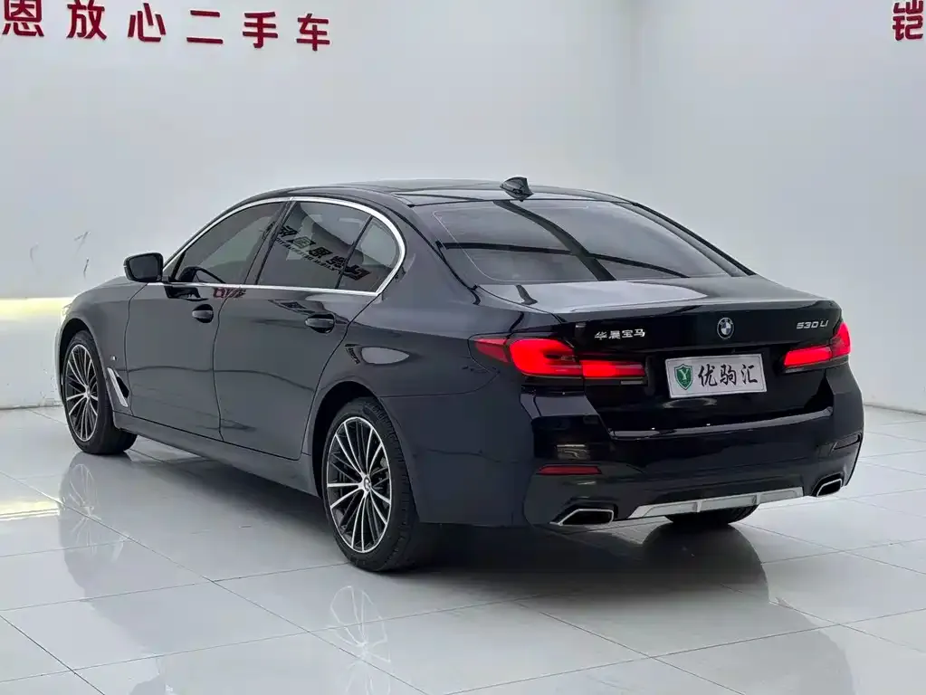 BMW 5 Series 2022 из CN, фото 9