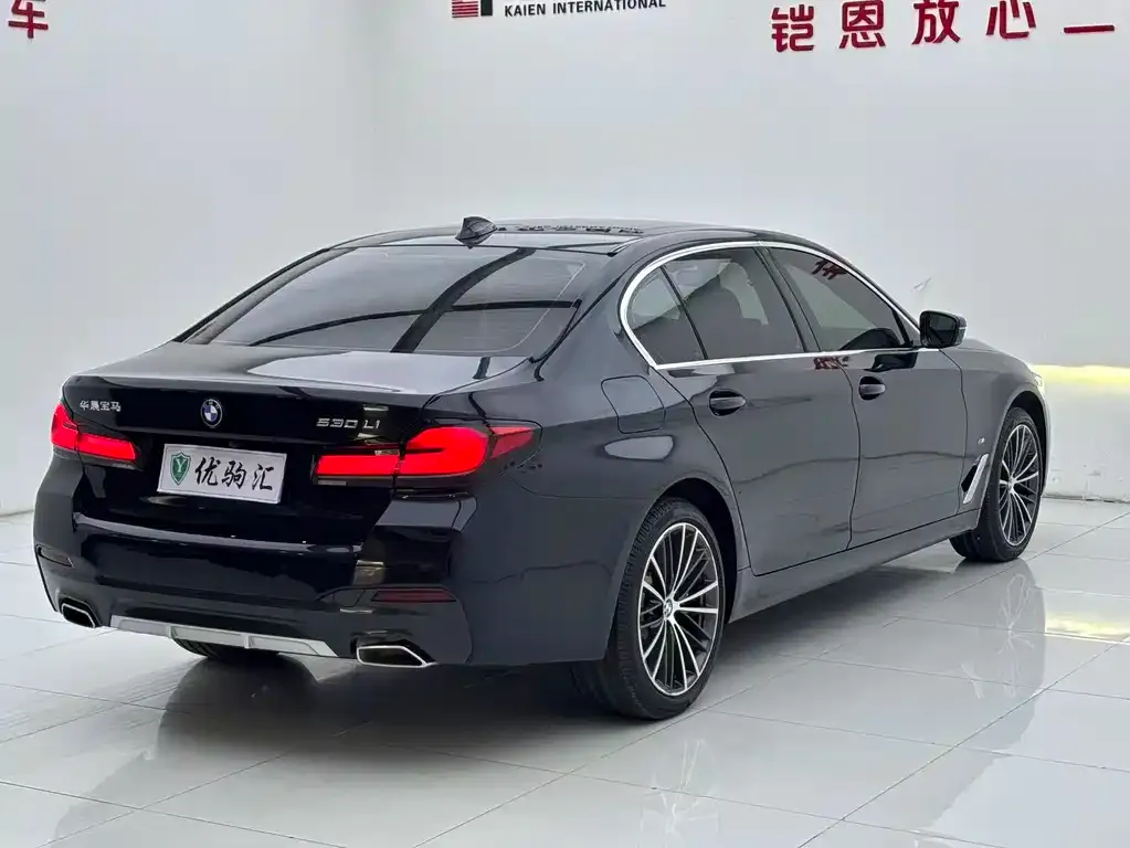 BMW 5 Series 2022 из CN, фото 5