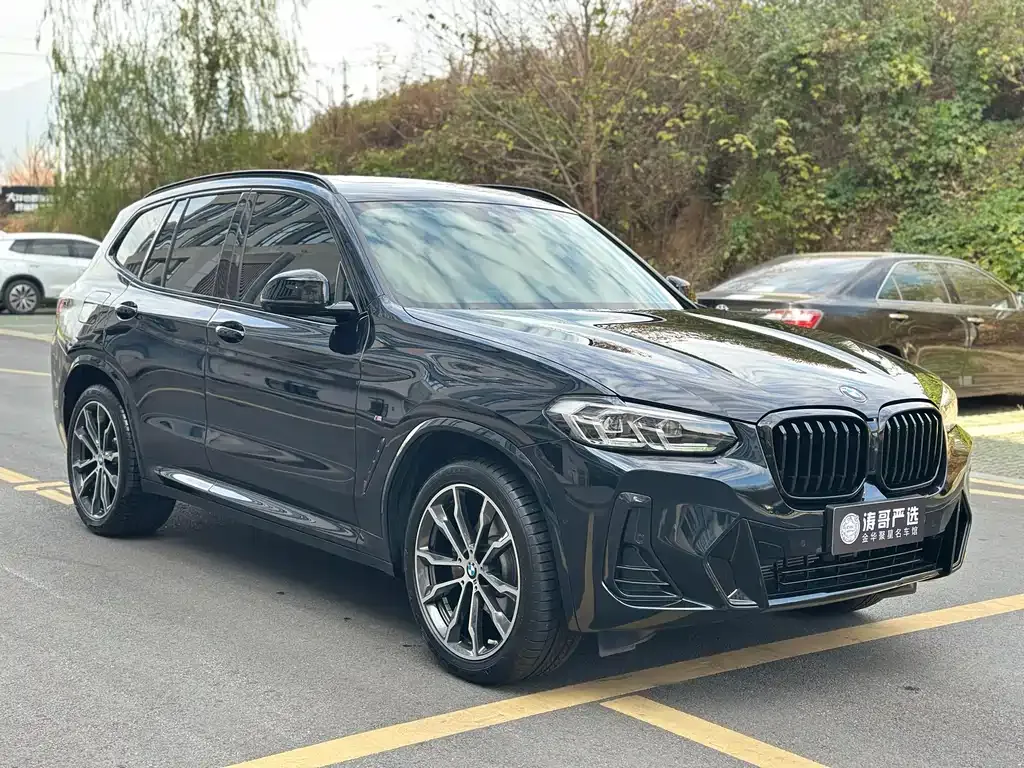 BMW X3 2024 из CN, фото 5