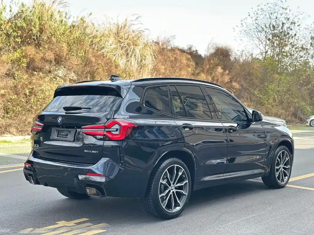 BMW X3 2024 из CN, фото 7