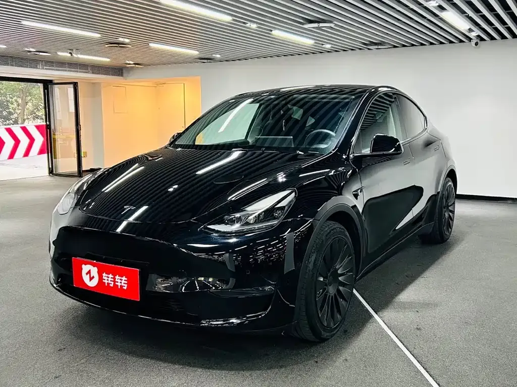 Tesla Model Y 2021 из CN, фото 1