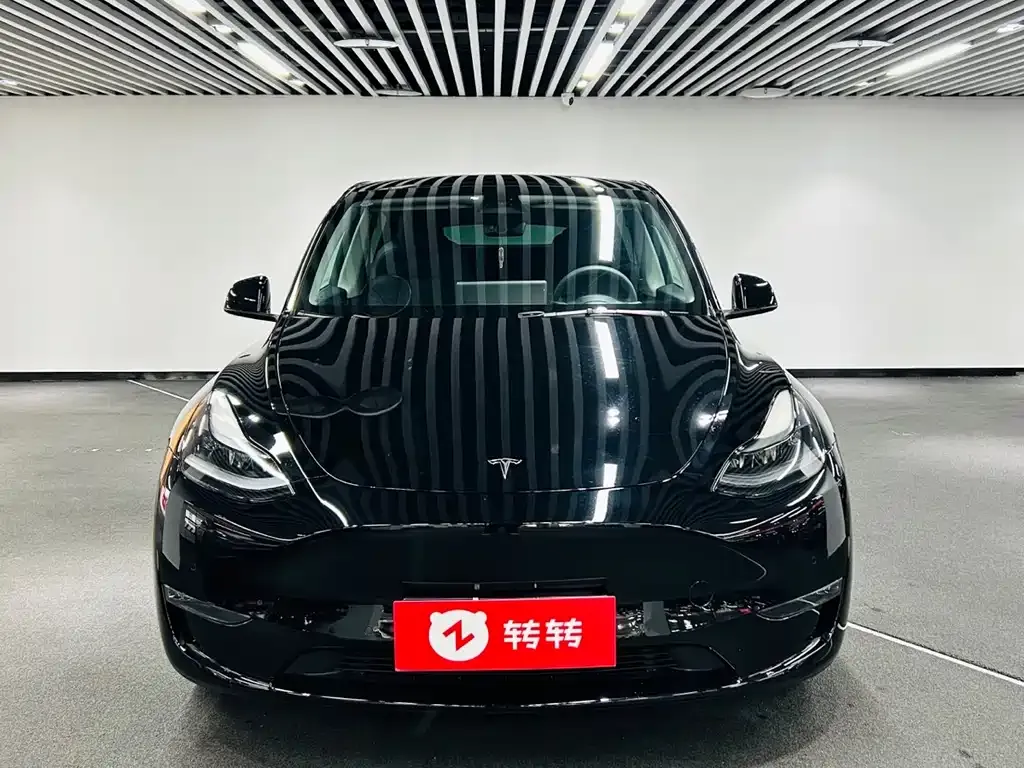 Tesla Model Y 2021 из CN, фото 8