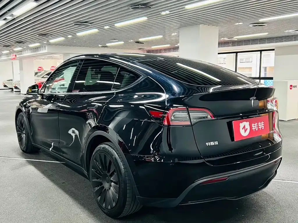 Tesla Model Y 2021 из CN, фото 9