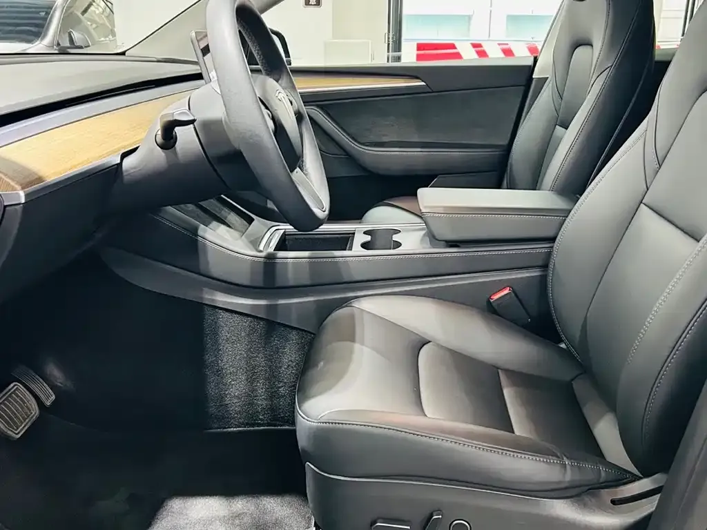 Tesla Model Y 2021 из CN, фото 6