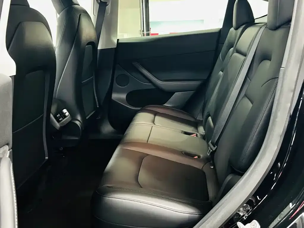 Tesla Model Y 2021 из CN, фото 2