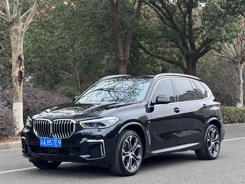 BMW X5 2023 из CN, фото 1