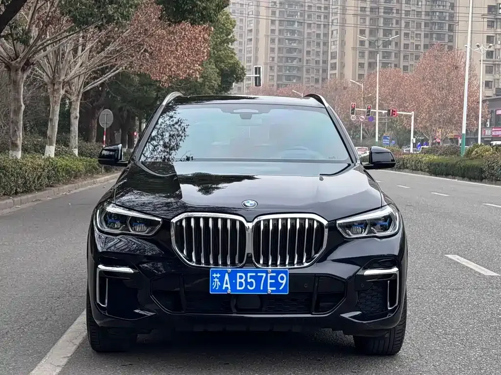 BMW X5 2023 из CN, фото 4