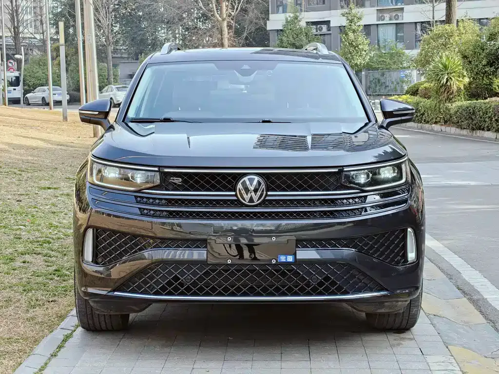 Volkswagen Tavendor 2024 из CN, фото 5