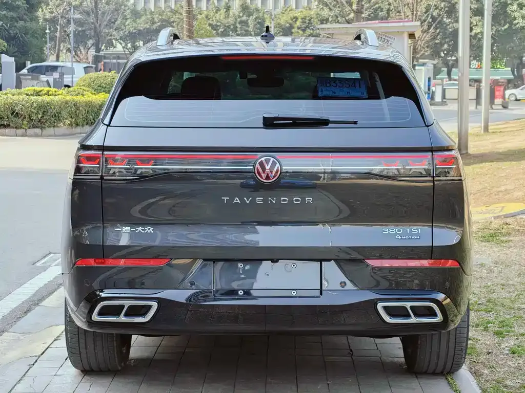 Volkswagen Tavendor 2024 из CN, фото 4