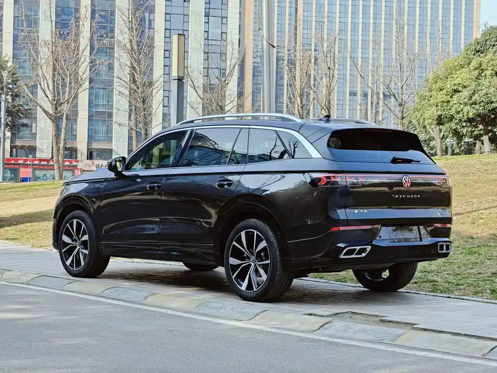 Volkswagen Tavendor 2024 из CN, фото 6