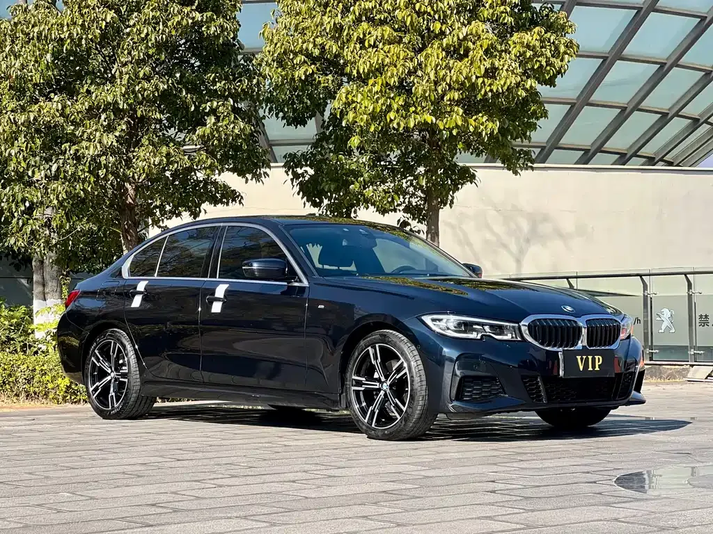 BMW 3 Series 2021 из CN, фото 6