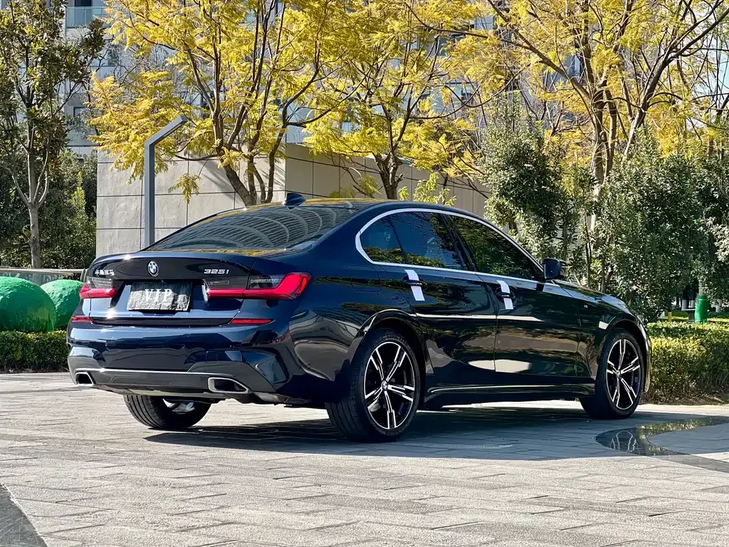 BMW 3 Series 2021 из CN, фото 10