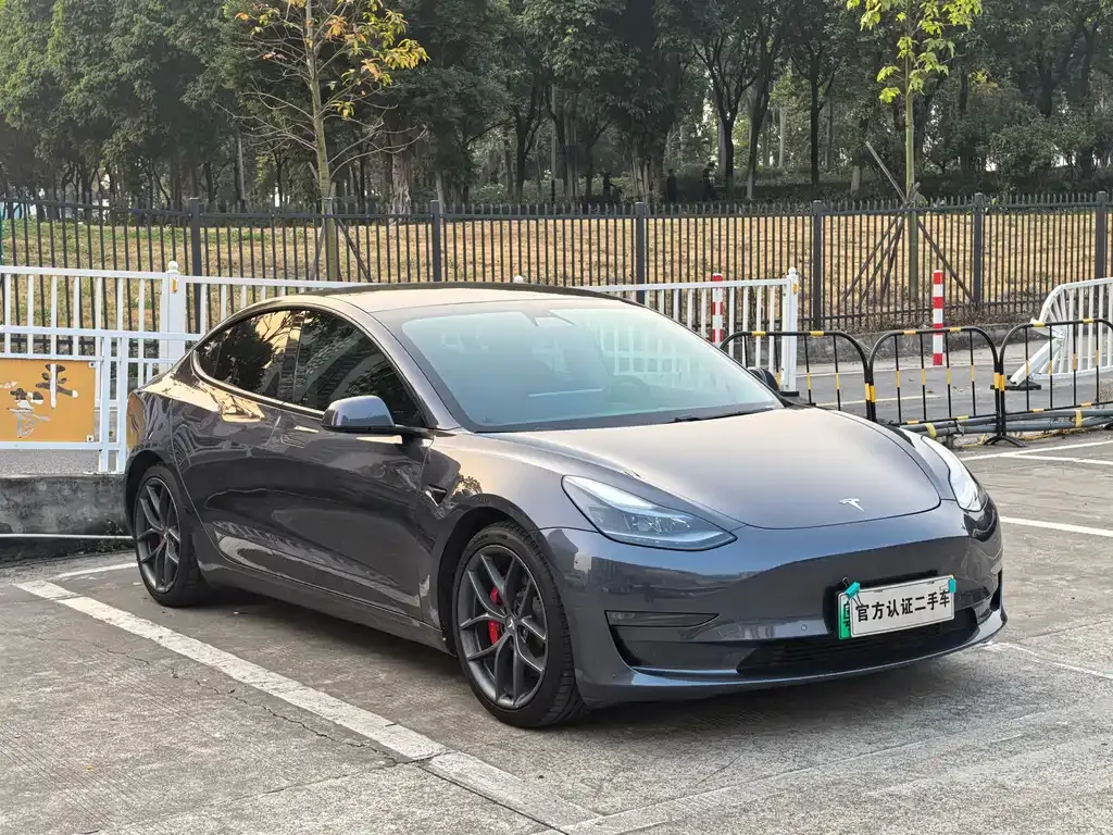 Tesla Model 3 2021 из CN, фото 6