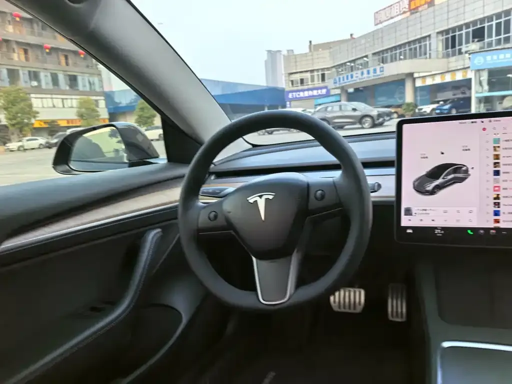 Tesla Model 3 2021 из CN, фото 2