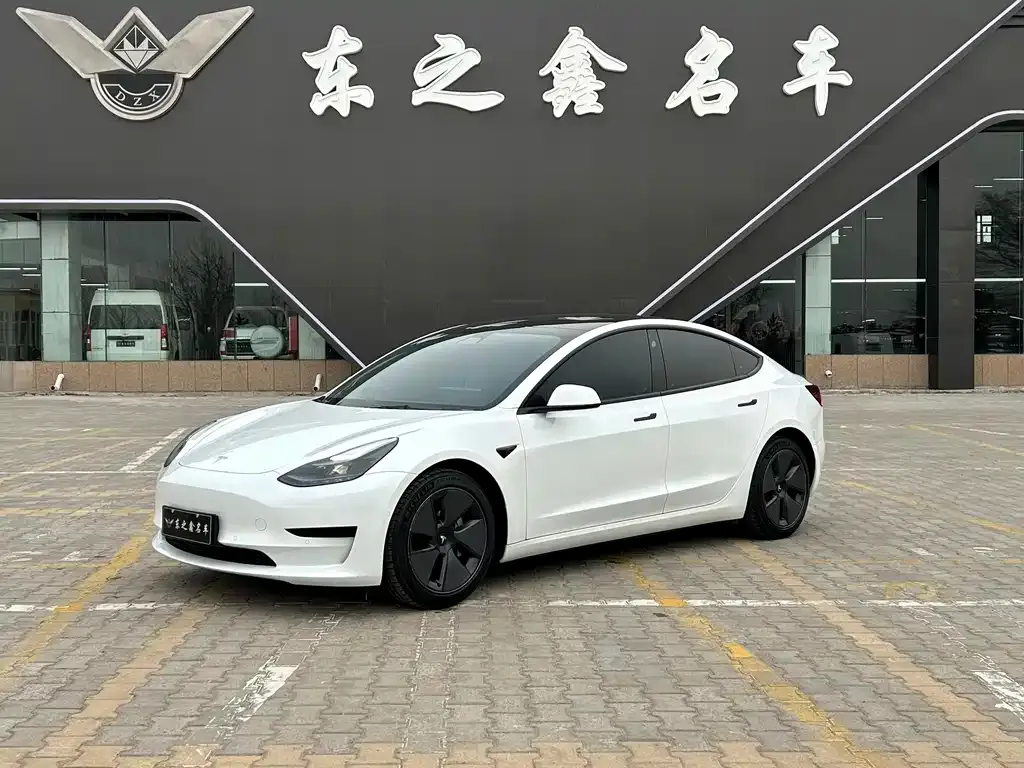 Tesla Model 3 2021 из CN, фото 1