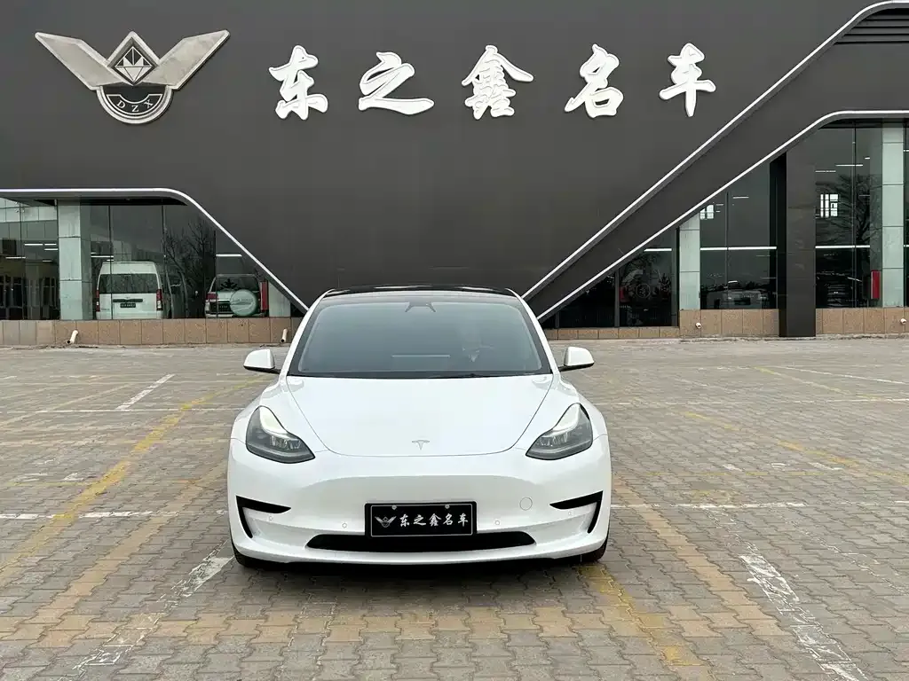 Tesla Model 3 2021 из CN, фото 8