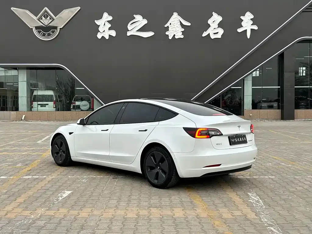 Tesla Model 3 2021 из CN, фото 10