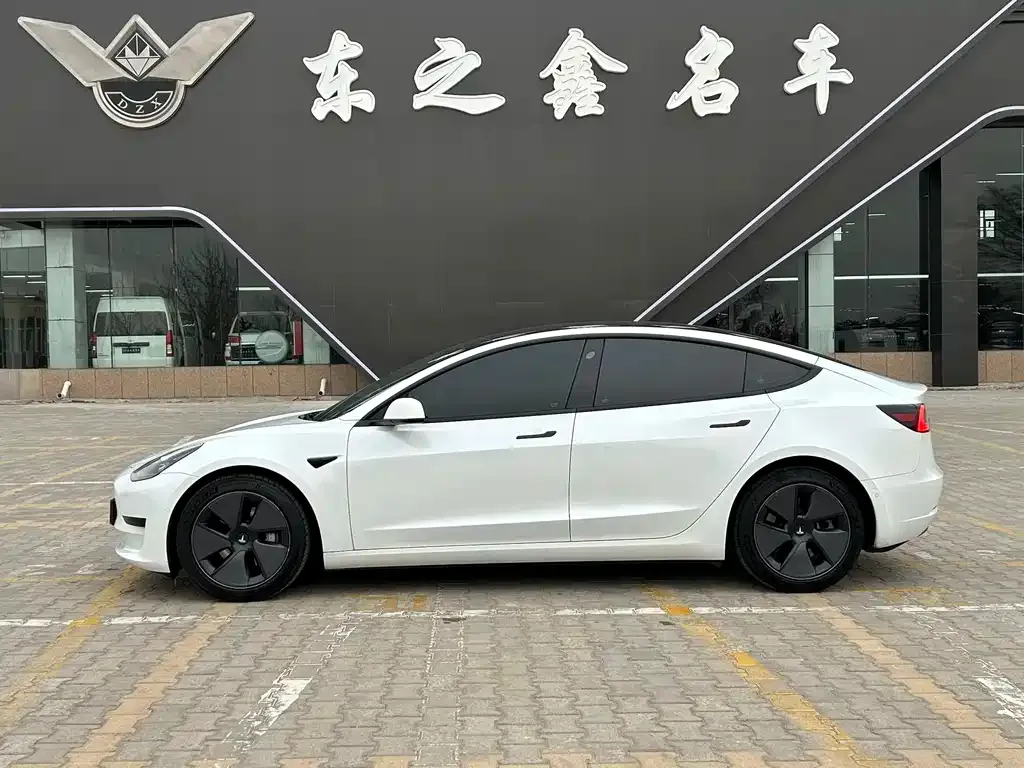 Tesla Model 3 2021 из CN, фото 9