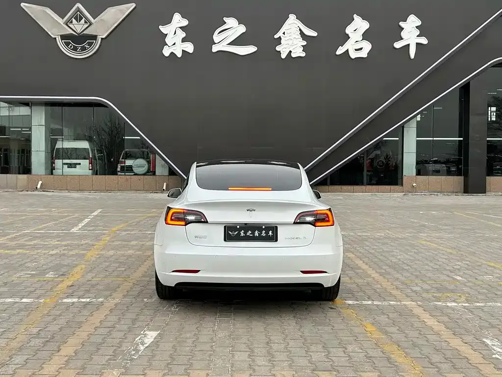 Tesla Model 3 2021 из CN, фото 6