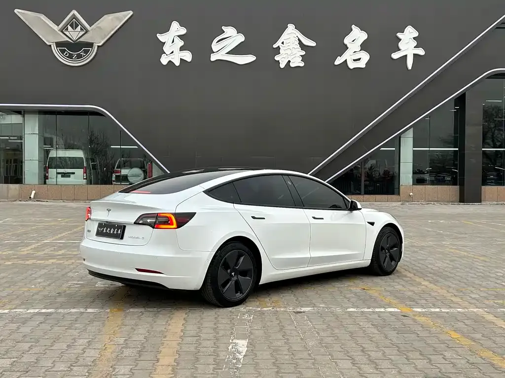 Tesla Model 3 2021 из CN, фото 5