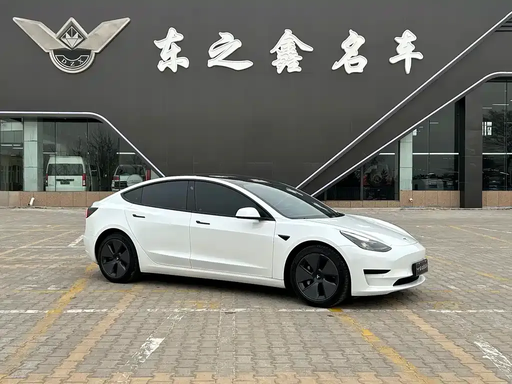 Tesla Model 3 2021 из CN, фото 3