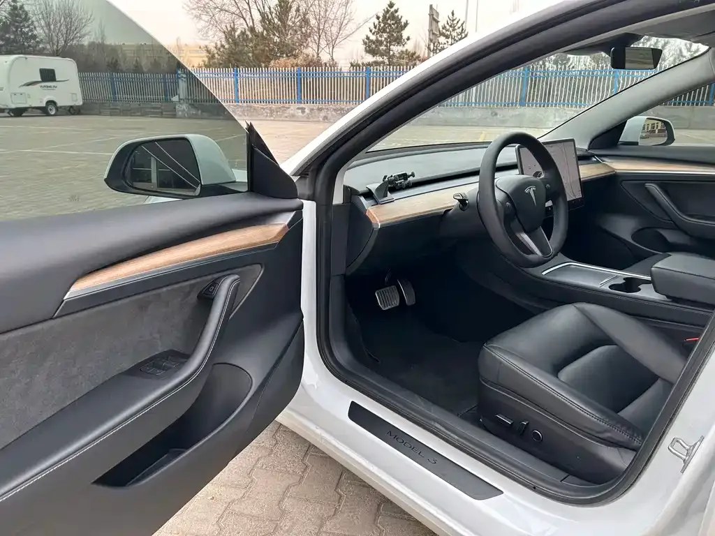 Tesla Model 3 2021 из CN, фото 4