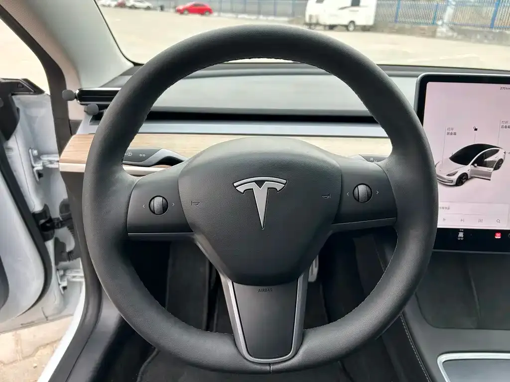 Tesla Model 3 2021 из CN, фото 2