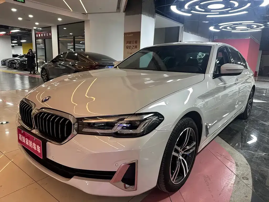 BMW 5 Series 2021 из CN, фото 1