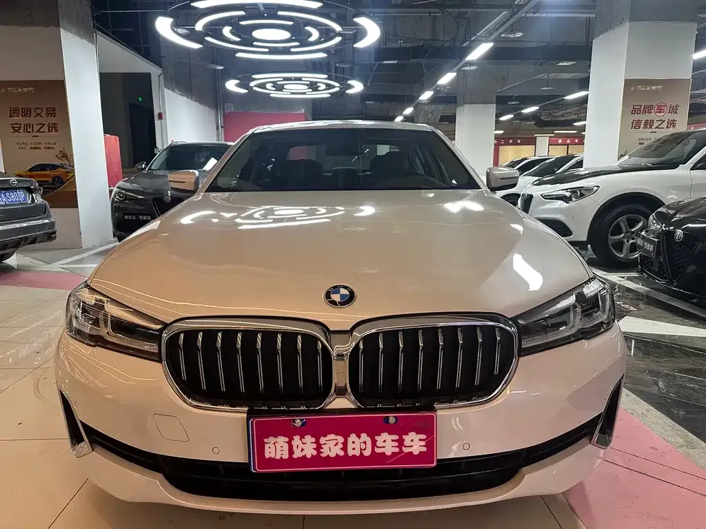 BMW 5 Series 2021 из CN, фото 7
