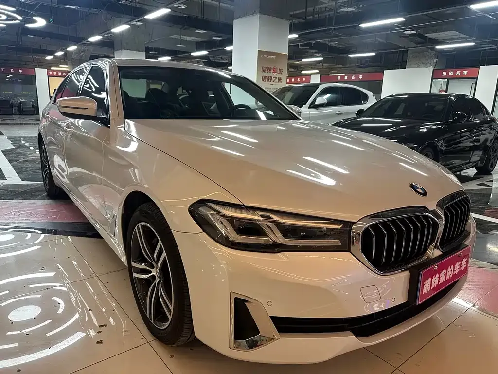 BMW 5 Series 2021 из CN, фото 5