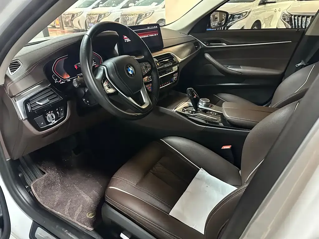 BMW 5 Series 2021 из CN, фото 10