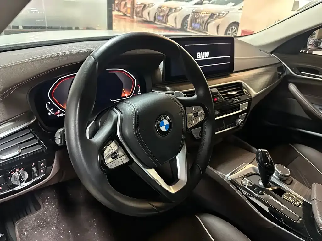 BMW 5 Series 2021 из CN, фото 3