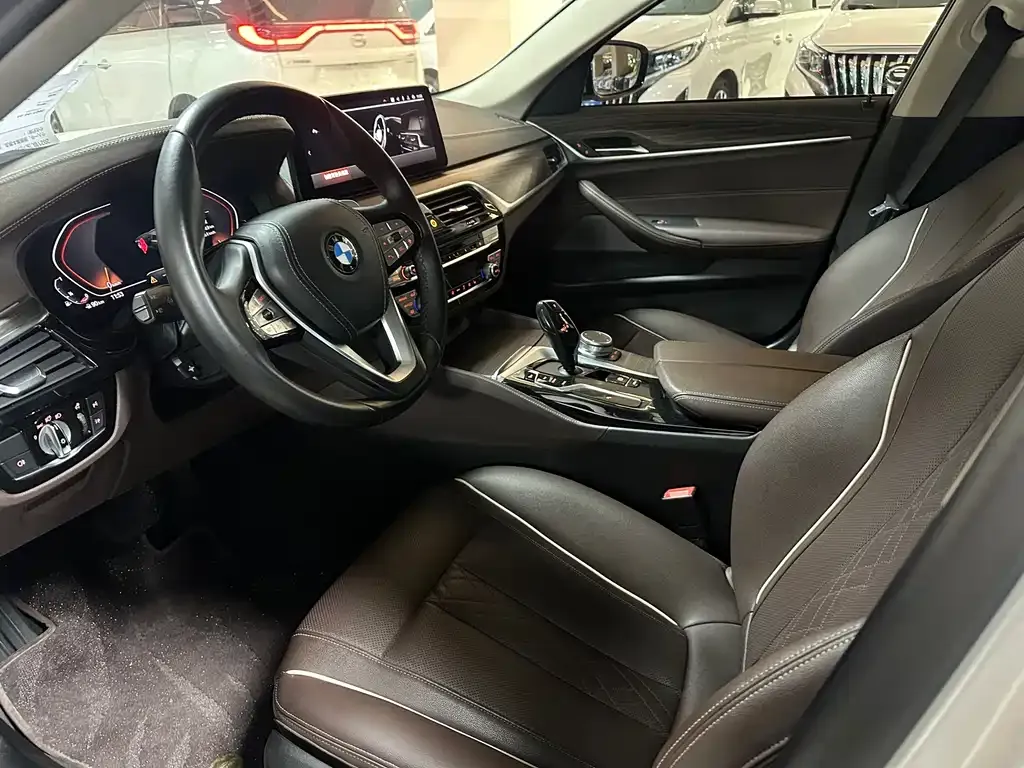 BMW 5 Series 2021 из CN, фото 9
