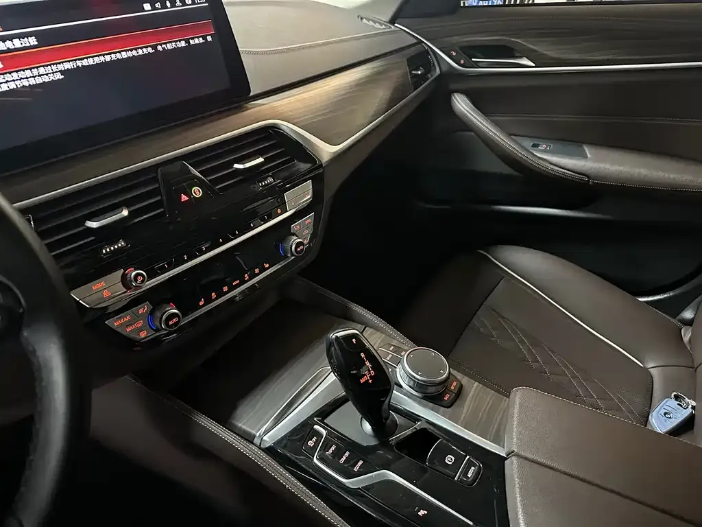 BMW 5 Series 2021 из CN, фото 4