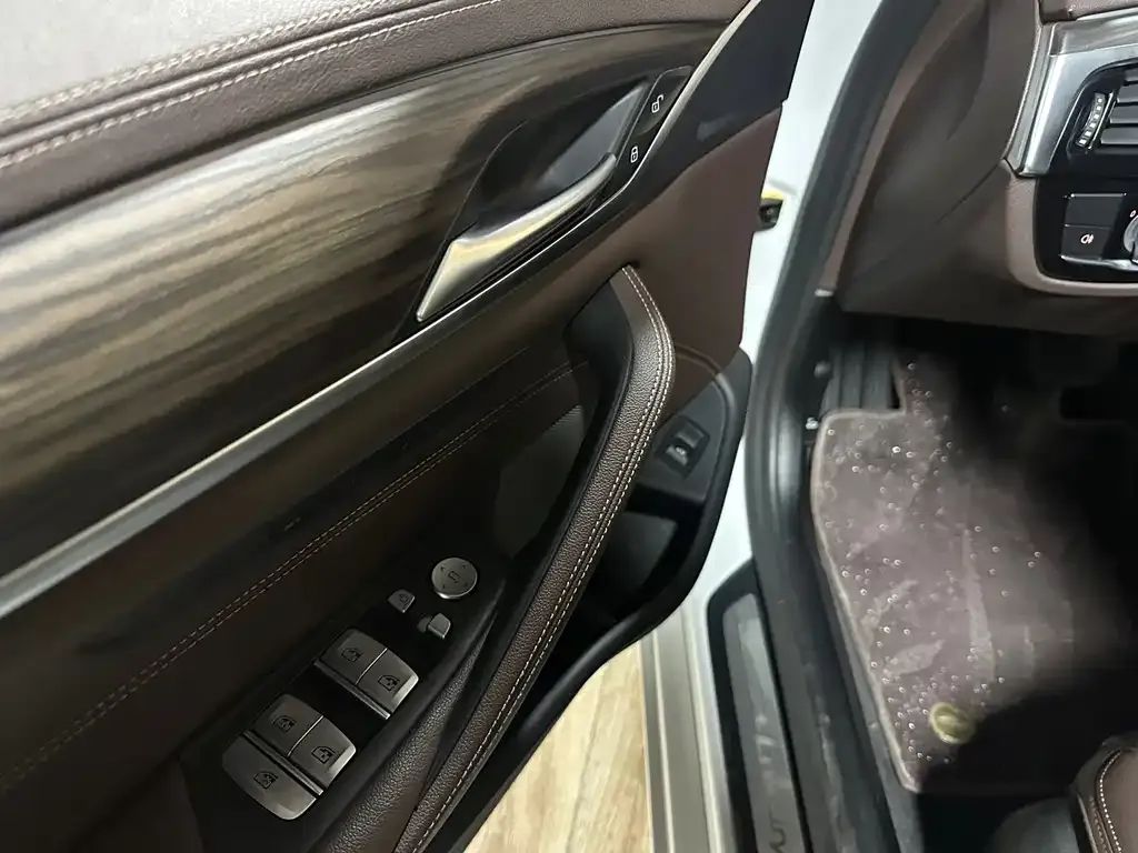 BMW 5 Series 2021 из CN, фото 6