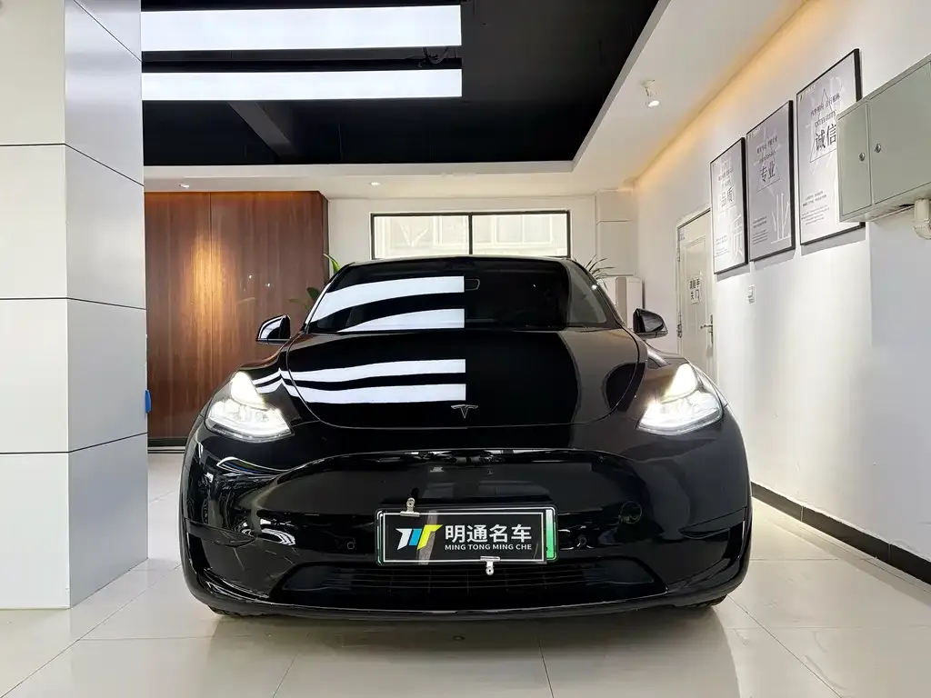 Tesla Model Y 2023 из CN, фото 1