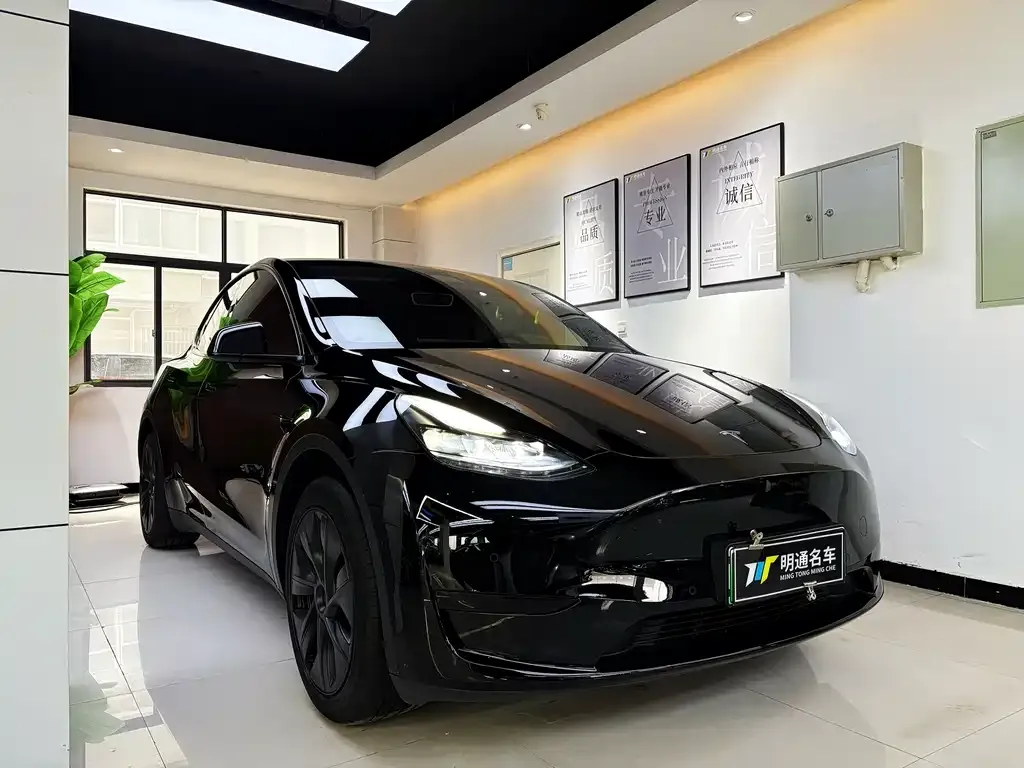 Tesla Model Y 2023 из CN, фото 6