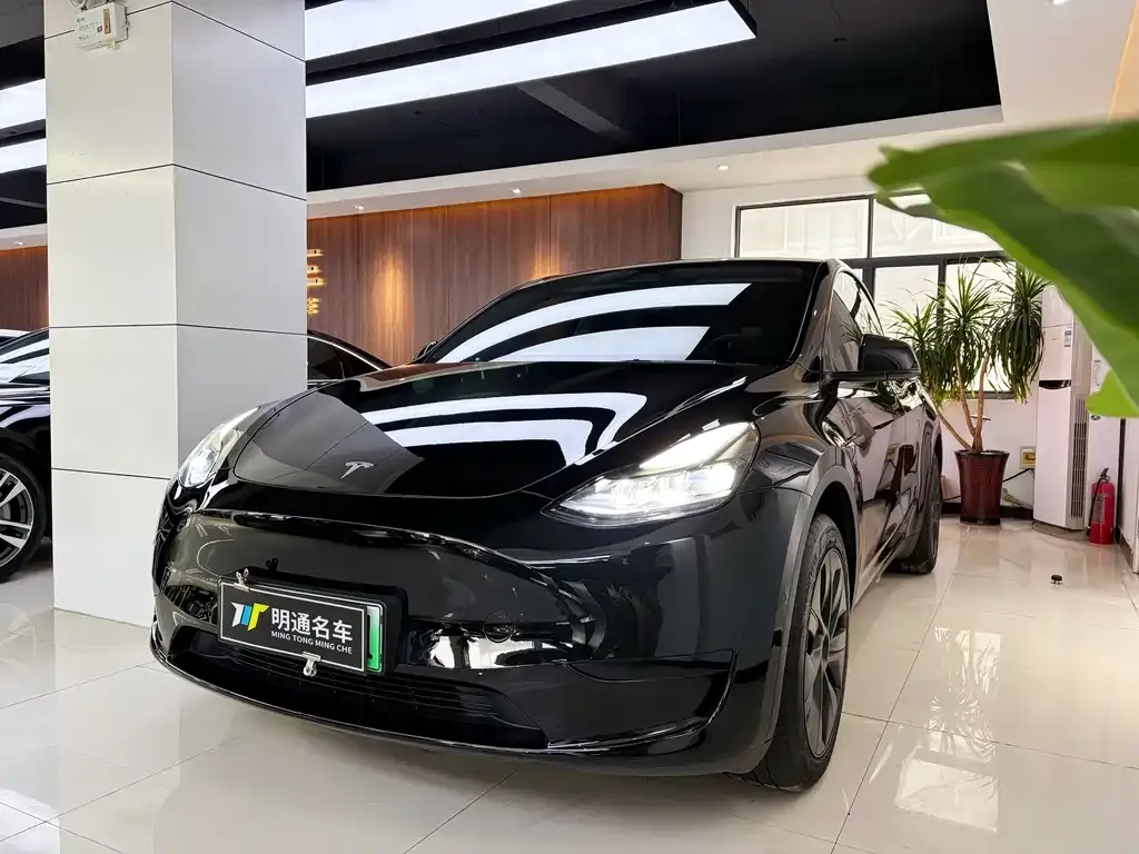 Tesla Model Y 2023 из CN, фото 10