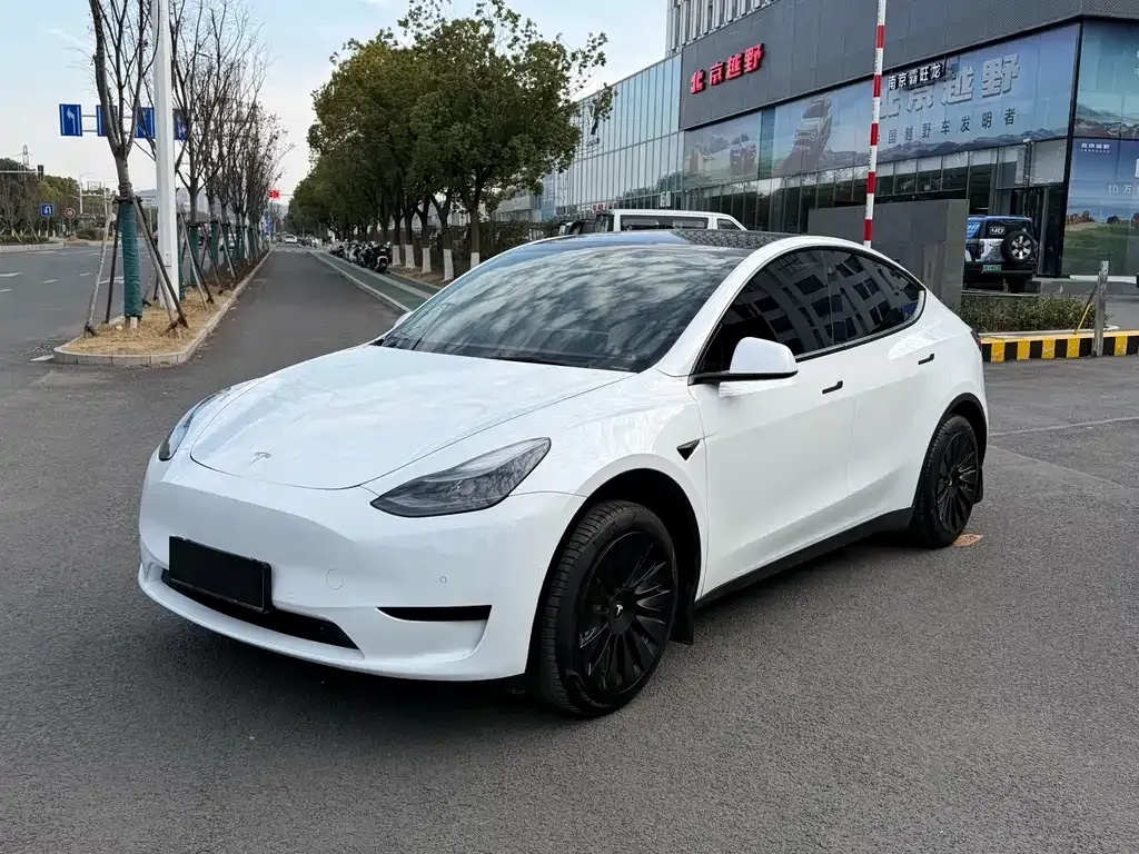 Tesla Model Y 2022 из CN, фото 1