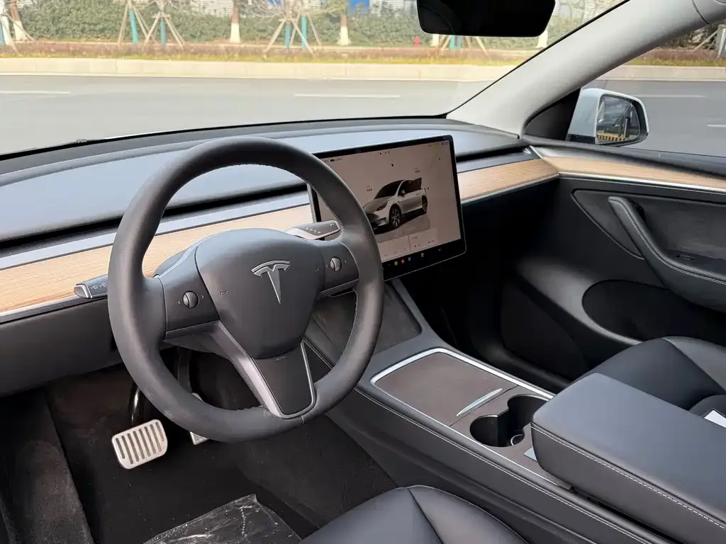 Tesla Model Y 2022 из CN, фото 6