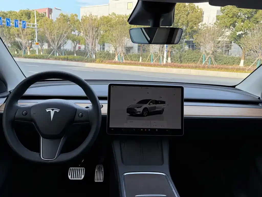 Tesla Model Y 2022 из CN, фото 2