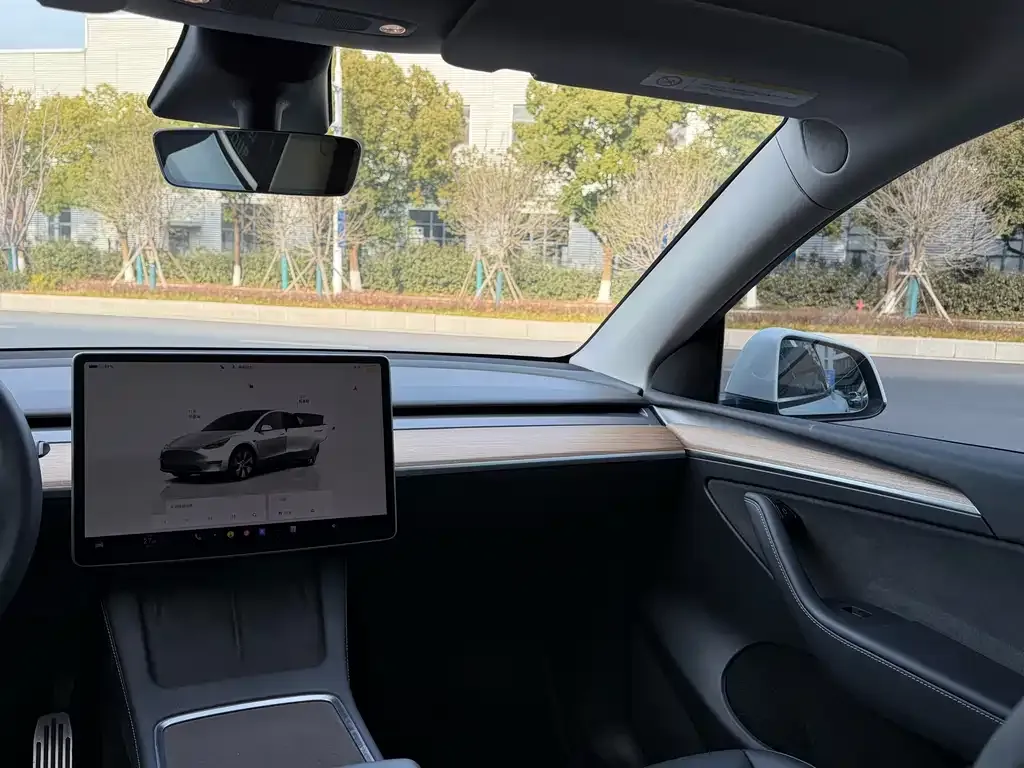 Tesla Model Y 2022 из CN, фото 7