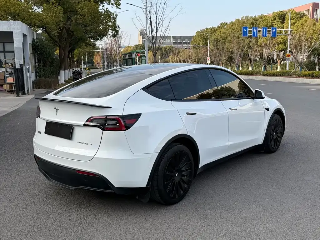 Tesla Model Y 2022 из CN, фото 8