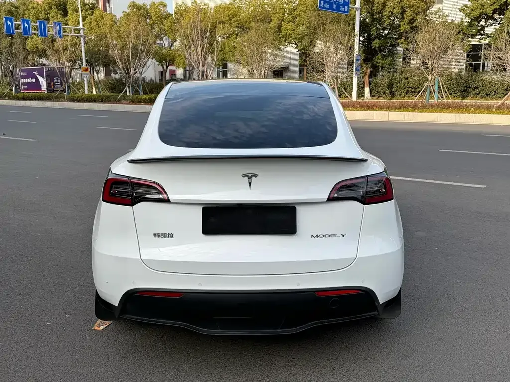 Tesla Model Y 2022 из CN, фото 9