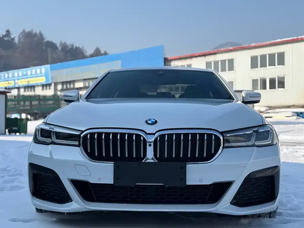 BMW 5 Series — фото 1