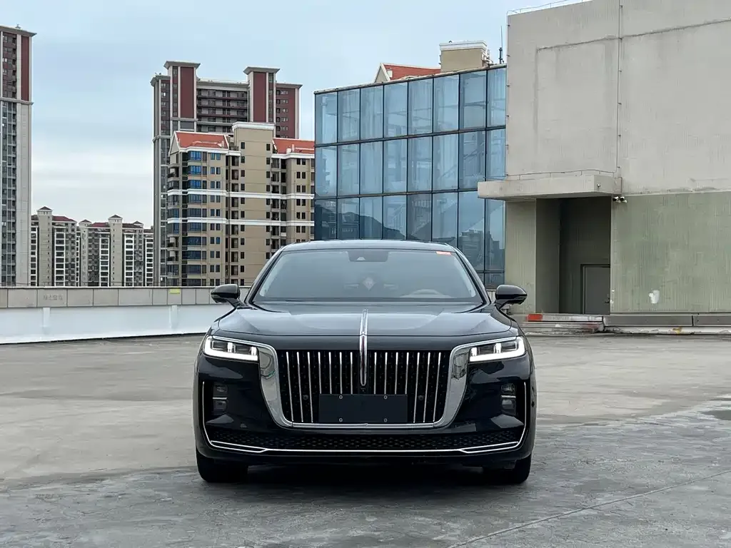 Hongqi H9 2023 из CN, фото 10