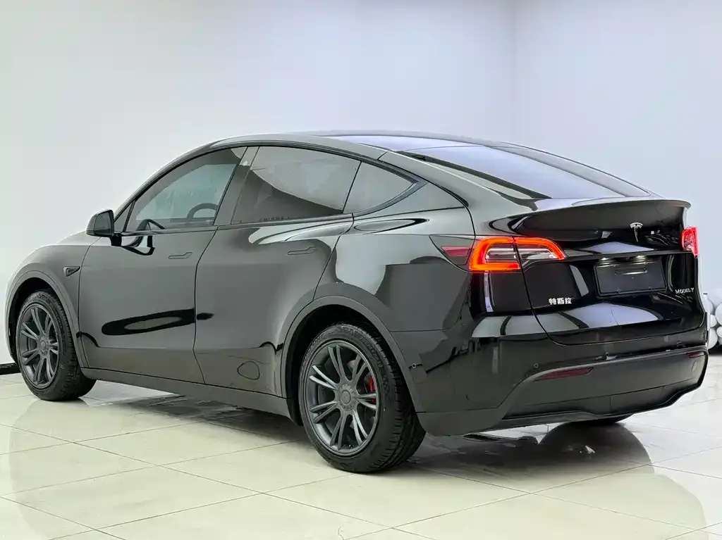 Tesla Model Y 2022 из CN, фото 5
