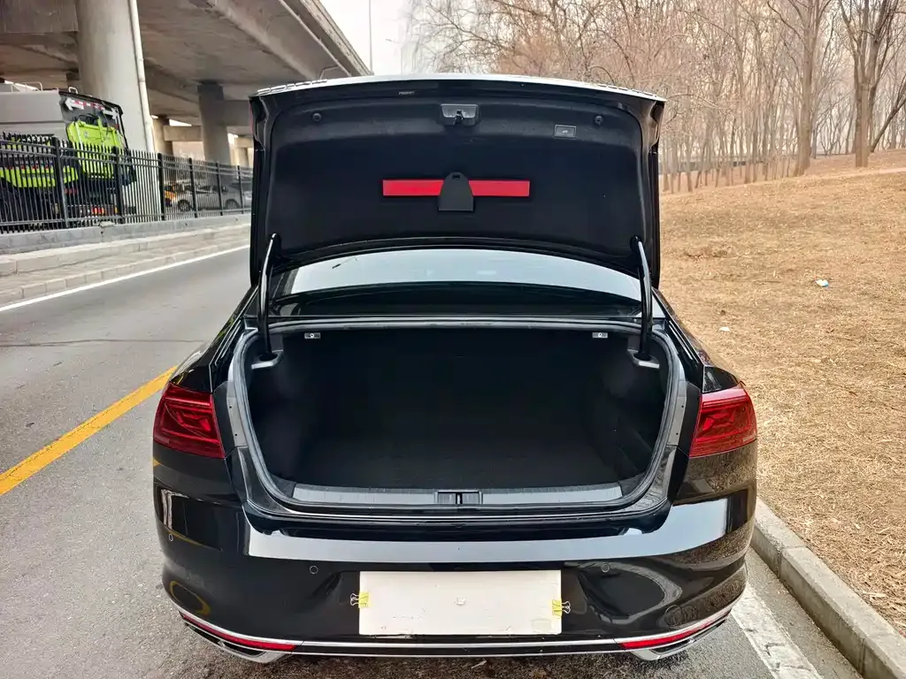 Volkswagen Magotan 2024 из CN, фото 3