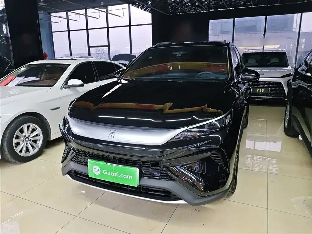 BYD Pro New Energy 2025 из CN, фото 1